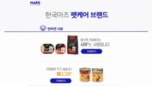 마즈